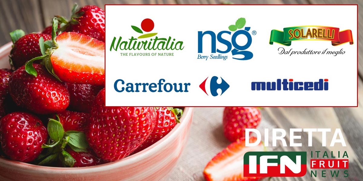 Fragole, boom per i prezzi ma è allerta consumi